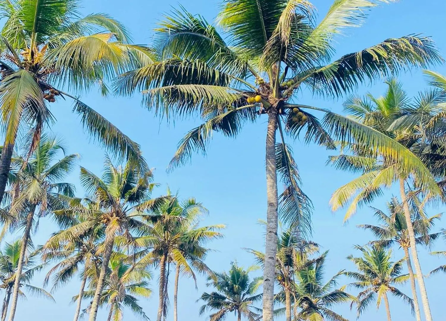 Paradise Inn Beach Resort 瓦尔卡拉 旅馆